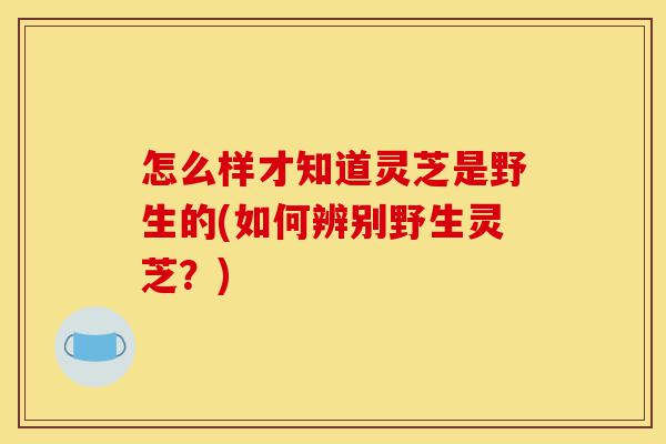 怎么样才知道灵芝是野生的(如何辨别野生灵芝?)-第1张图片-灵芝之家 怎么样才知道灵芝是野生的(如何辨别野生灵芝?)-第1张图片-灵芝之家