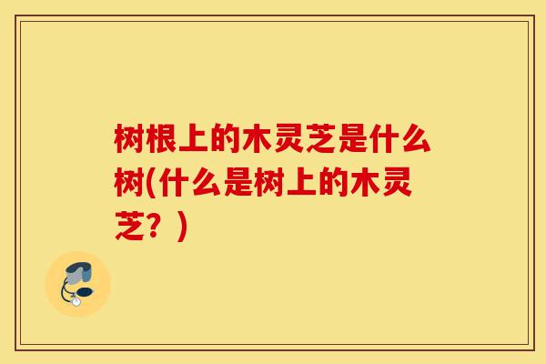 树根上的木灵芝是什么树(什么是树上的木灵芝?)-第1张图片-灵芝之家 树根上的木灵芝是什么树(什么是树上的木灵芝?)-第1张图片-灵芝之家