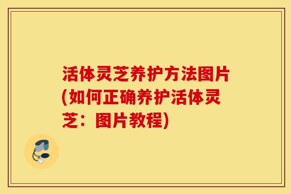 活体灵芝养护方法图片(如何正确养护活体灵芝:图片教程)-第1张图片-灵芝之家 活体灵芝养护方法图片(如何正确养护活体灵芝:图片教程)-第1张图片-灵芝之家