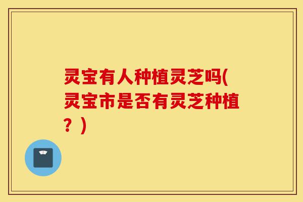 灵宝有人种植灵芝吗(灵宝市是否有灵芝种植?)-第1张图片-灵芝之家 灵宝有人种植灵芝吗(灵宝市是否有灵芝种植?)-第1张图片-灵芝之家