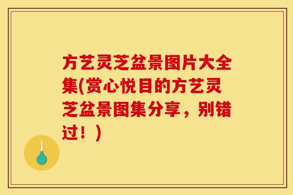 方艺灵芝盆景图片大全集(赏心悦目的方艺灵芝盆景图集分享，别错过！)-第1张图片-灵芝之家