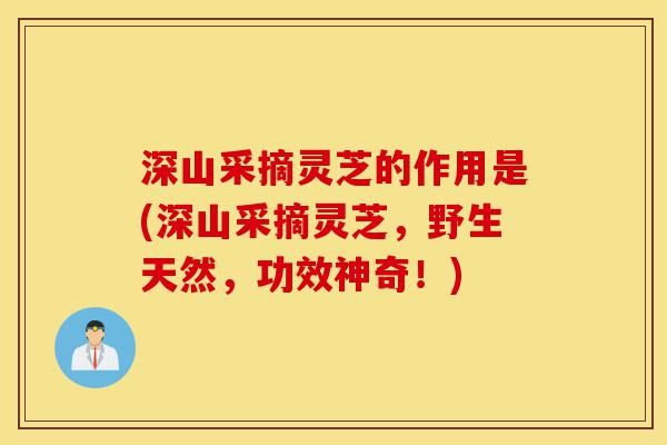深山采摘灵芝的作用是(深山采摘灵芝,野生天然,功效神奇!)-第1张图片-灵芝之家 深山采摘灵芝的作用是(深山采摘灵芝,野生天然,功效神奇!)-第1张图片-灵芝之家
