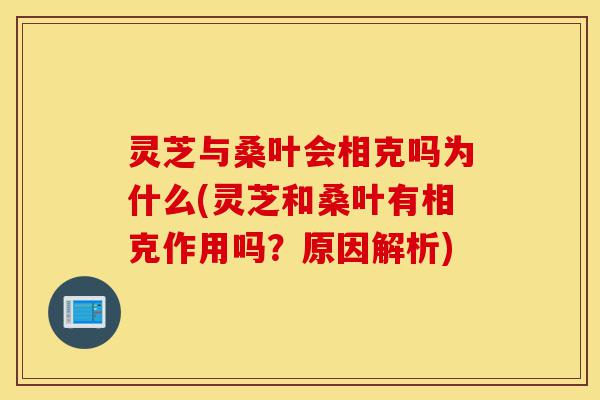 灵芝与桑叶会相克吗为什么(灵芝和桑叶有相克作用吗?原因解析)-第1张图片-灵芝之家 灵芝与桑叶会相克吗为什么(灵芝和桑叶有相克作用吗?原因解析)-第1张图片-灵芝之家