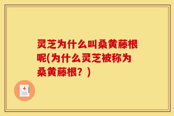 灵芝为什么叫桑黄藤根呢(为什么灵芝被称为桑黄藤根?)-第1张图片-灵芝之家 灵芝为什么叫桑黄藤根呢(为什么灵芝被称为桑黄藤根?)-第1张图片-灵芝之家