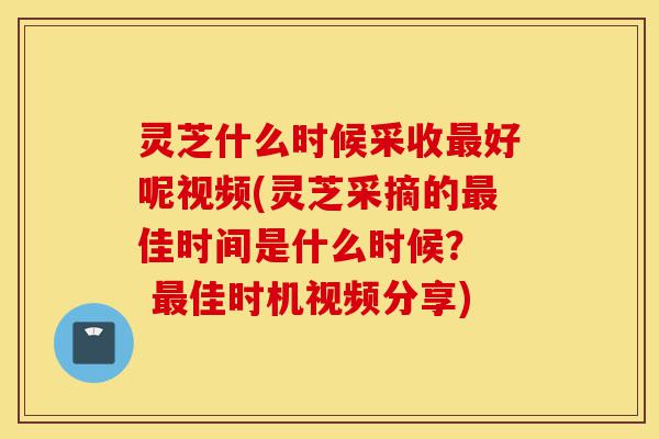 灵芝什么时候采收最好呢视频(灵芝采摘的最佳时间是什么时候? 最佳时机视频分享)-第1张图片-灵芝之家 灵芝什么时候采收最好呢视频(灵芝采摘的最佳时间是什么时候? 最佳时机视频分享)-第1张图片-灵芝之家