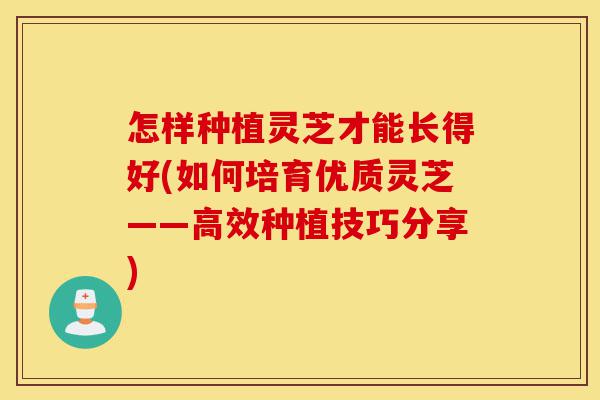 怎样种植灵芝才能长得好(如何培育优质灵芝——高效种植技巧分享)-第1张图片-灵芝之家 怎样种植灵芝才能长得好(如何培育优质灵芝——高效种植技巧分享)-第1张图片-灵芝之家