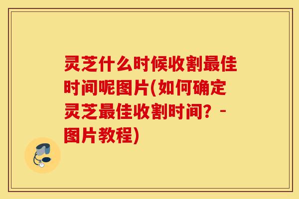 灵芝什么时候收割最佳时间呢图片(如何确定灵芝最佳收割时间?-图片教程)-第1张图片-灵芝之家 灵芝什么时候收割最佳时间呢图片(如何确定灵芝最佳收割时间?-图片教程)-第1张图片-灵芝之家