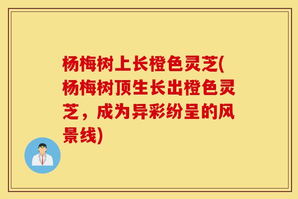 杨梅树上长橙色灵芝(杨梅树顶生长出橙色灵芝，成为异彩纷呈的风景线)-第1张图片-灵芝之家