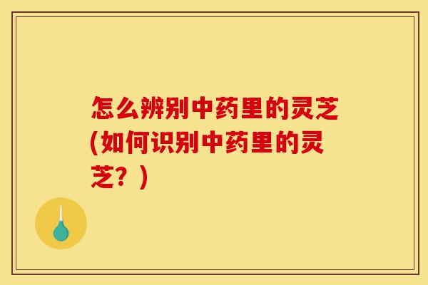 怎么辨别中药里的灵芝(如何识别中药里的灵芝?)-第1张图片-灵芝之家 怎么辨别中药里的灵芝(如何识别中药里的灵芝?)-第1张图片-灵芝之家