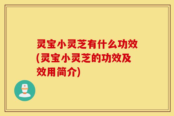 灵宝小灵芝有什么功效(灵宝小灵芝的功效及效用简介)-第1张图片-灵芝之家 灵宝小灵芝有什么功效(灵宝小灵芝的功效及效用简介)-第1张图片-灵芝之家