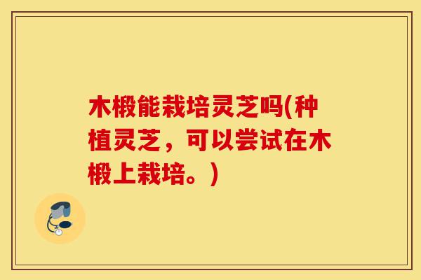 木椴能栽培灵芝吗(种植灵芝，可以尝试在木椴上栽培。)-第1张图片-灵芝之家