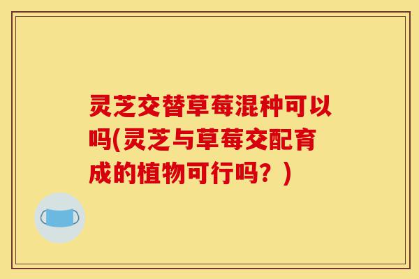 灵芝交替草莓混种可以吗(灵芝与草莓交配育成的植物可行吗?)-第1张图片-灵芝之家 灵芝交替草莓混种可以吗(灵芝与草莓交配育成的植物可行吗?)-第1张图片-灵芝之家