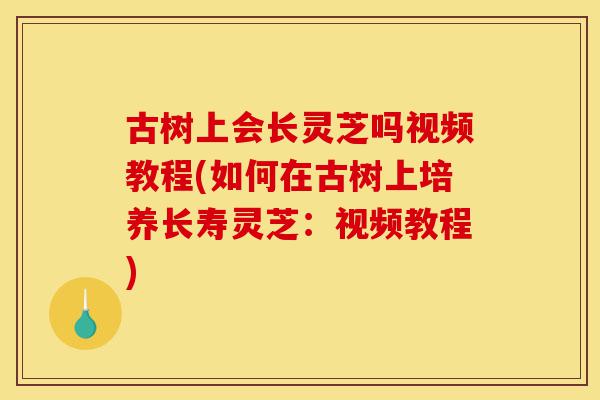 古树上会长灵芝吗视频教程(如何在古树上培养长寿灵芝:视频教程)-第1张图片-灵芝之家 古树上会长灵芝吗视频教程(如何在古树上培养长寿灵芝:视频教程)-第1张图片-灵芝之家