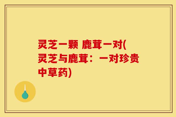 灵芝一颗 鹿茸一对(灵芝与鹿茸：一对珍贵中草药)-第1张图片-灵芝之家