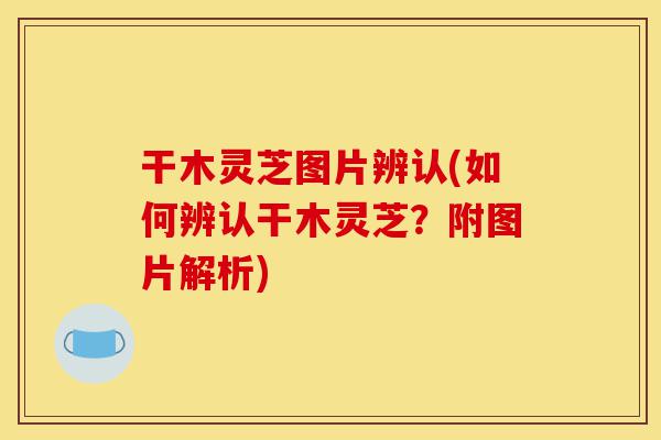 干木灵芝图片辨认(如何辨认干木灵芝？附图片解析)-第1张图片-灵芝之家