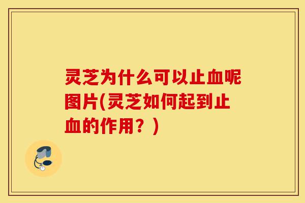 灵芝为什么可以止血呢图片(灵芝如何起到止血的作用?)-第1张图片-灵芝之家 灵芝为什么可以止血呢图片(灵芝如何起到止血的作用?)-第1张图片-灵芝之家