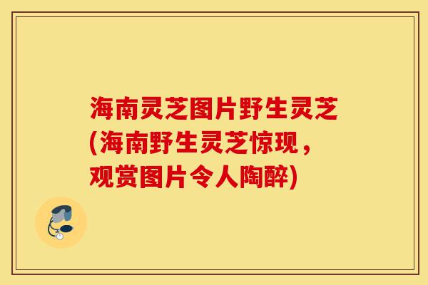 海南灵芝图片野生灵芝(海南野生灵芝惊现,观赏图片令人陶醉)-第1张图片-灵芝之家 海南灵芝图片野生灵芝(海南野生灵芝惊现,观赏图片令人陶醉)-第1张图片-灵芝之家