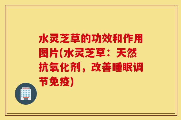 水灵芝草的功效和作用图片(水灵芝草:天然抗氧化剂,改善睡眠调节免疫)-第1张图片-灵芝之家 水灵芝草的功效和作用图片(水灵芝草:天然抗氧化剂,改善睡眠调节免疫)-第1张图片-灵芝之家