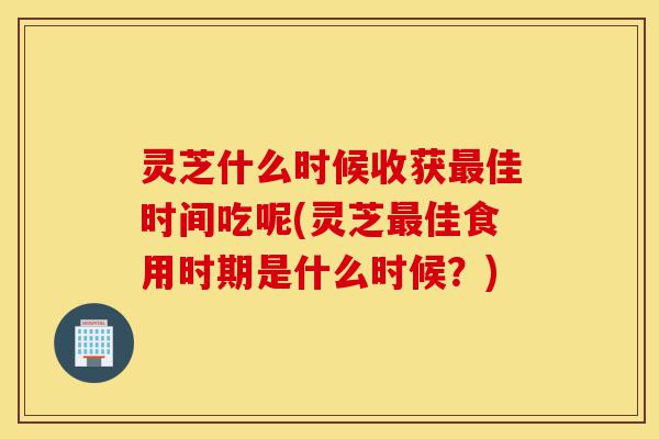 灵芝什么时候收获最佳时间吃呢(灵芝最佳食用时期是什么时候?)-第1张图片-灵芝之家 灵芝什么时候收获最佳时间吃呢(灵芝最佳食用时期是什么时候?)-第1张图片-灵芝之家