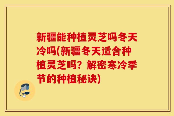 新疆能种植灵芝吗冬天冷吗(新疆冬天适合种植灵芝吗?解密寒冷季节的种植秘诀)-第1张图片-灵芝之家 新疆能种植灵芝吗冬天冷吗(新疆冬天适合种植灵芝吗?解密寒冷季节的种植秘诀)-第1张图片-灵芝之家