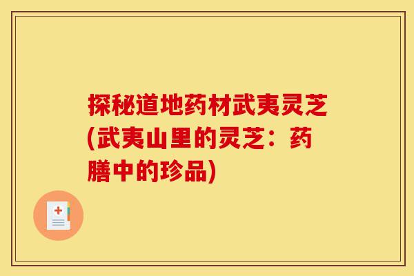 探秘道地药材武夷灵芝(武夷山里的灵芝:药膳中的珍品)-第1张图片-灵芝之家 探秘道地药材武夷灵芝(武夷山里的灵芝:药膳中的珍品)-第1张图片-灵芝之家