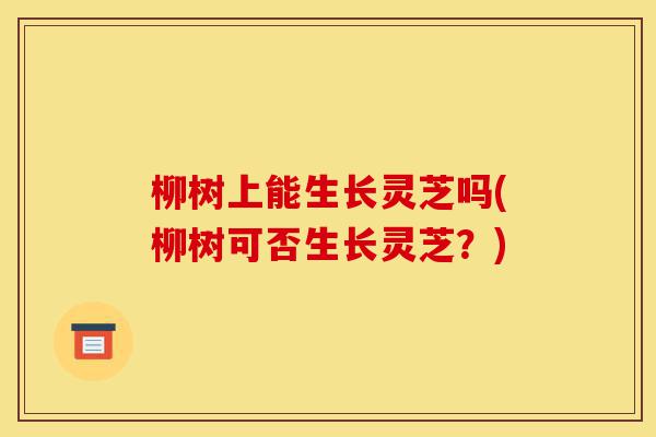 柳树上能生长灵芝吗(柳树可否生长灵芝?)-第1张图片-灵芝之家 柳树上能生长灵芝吗(柳树可否生长灵芝?)-第1张图片-灵芝之家