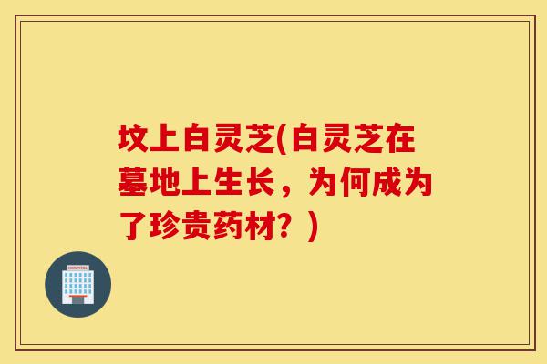 坟上白灵芝(白灵芝在墓地上生长，为何成为了珍贵药材？)-第1张图片-灵芝之家