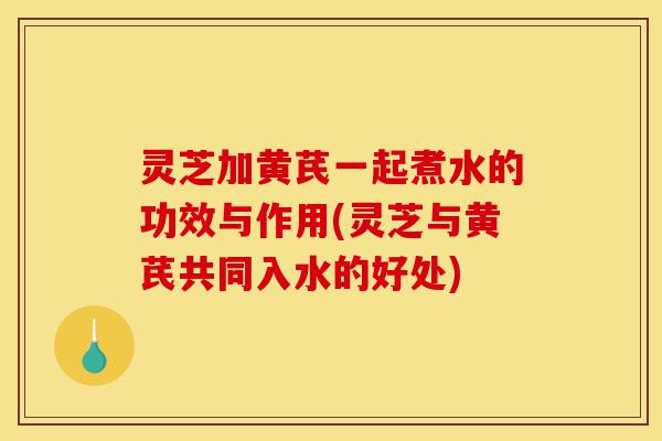灵芝加黄芪一起煮水的功效与作用(灵芝与黄芪共同入水的好处)-第1张图片-灵芝之家 灵芝加黄芪一起煮水的功效与作用(灵芝与黄芪共同入水的好处)-第1张图片-灵芝之家