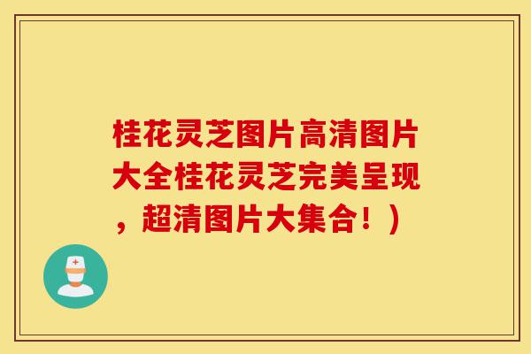 桂花灵芝图片高清图片大全桂花灵芝完美呈现,超清图片大集合!)-第1张图片-灵芝之家 桂花灵芝图片高清图片大全桂花灵芝完美呈现,超清图片大集合!)-第1张图片-灵芝之家