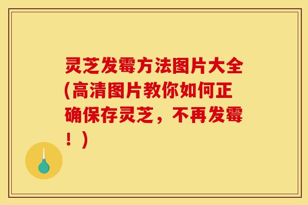 灵芝发霉方法图片大全(高清图片教你如何正确保存灵芝,不再发霉!)-第1张图片-灵芝之家 灵芝发霉方法图片大全(高清图片教你如何正确保存灵芝,不再发霉!)-第1张图片-灵芝之家