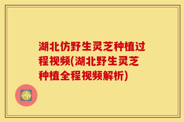 湖北仿野生灵芝种植过程视频(湖北野生灵芝种植全程视频解析)-第1张图片-灵芝之家 湖北仿野生灵芝种植过程视频(湖北野生灵芝种植全程视频解析)-第1张图片-灵芝之家