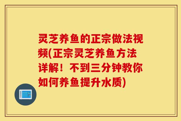 灵芝养鱼的正宗做法视频(正宗灵芝养鱼方法详解！不到三分钟教你如何养鱼提升水质)-第1张图片-灵芝之家