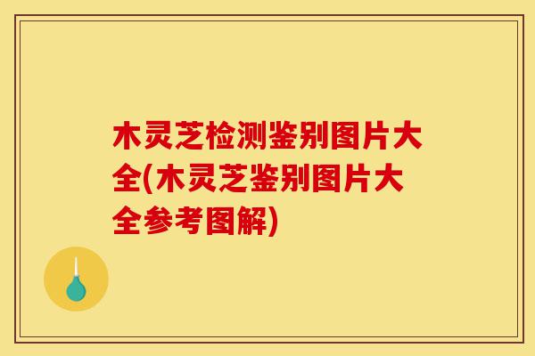 木灵芝检测鉴别图片大全(木灵芝鉴别图片大全参考图解)-第1张图片-灵芝之家 木灵芝检测鉴别图片大全(木灵芝鉴别图片大全参考图解)-第1张图片-灵芝之家