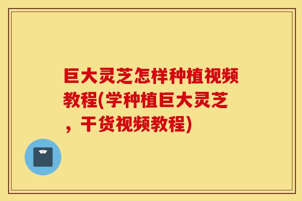 巨大灵芝怎样种植视频教程(学种植巨大灵芝,干货视频教程)-第1张图片-灵芝之家 巨大灵芝怎样种植视频教程(学种植巨大灵芝,干货视频教程)-第1张图片-灵芝之家