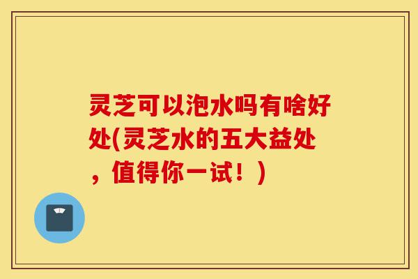 灵芝可以泡水吗有啥好处(灵芝水的五大益处，值得你一试！)-第1张图片-灵芝之家