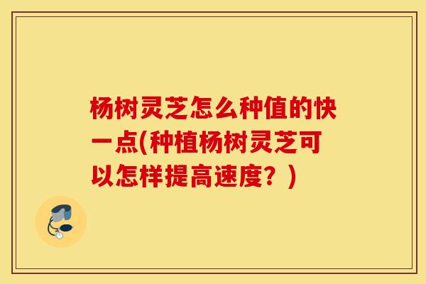 杨树灵芝怎么种值的快一点(种植杨树灵芝可以怎样提高速度?)-第1张图片-灵芝之家 杨树灵芝怎么种值的快一点(种植杨树灵芝可以怎样提高速度?)-第1张图片-灵芝之家