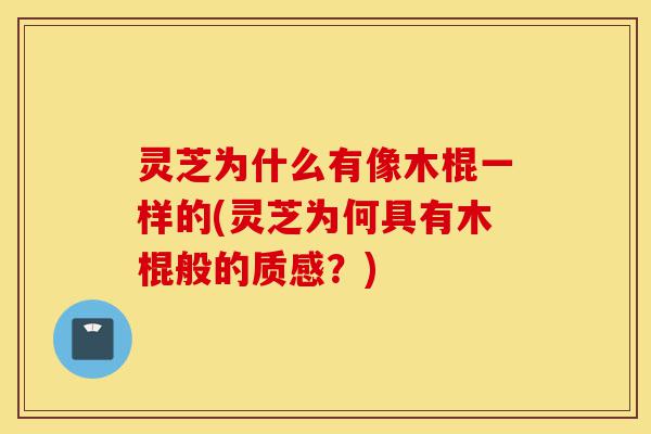 灵芝为什么有像木棍一样的(灵芝为何具有木棍般的质感?)-第1张图片-灵芝之家 灵芝为什么有像木棍一样的(灵芝为何具有木棍般的质感?)-第1张图片-灵芝之家