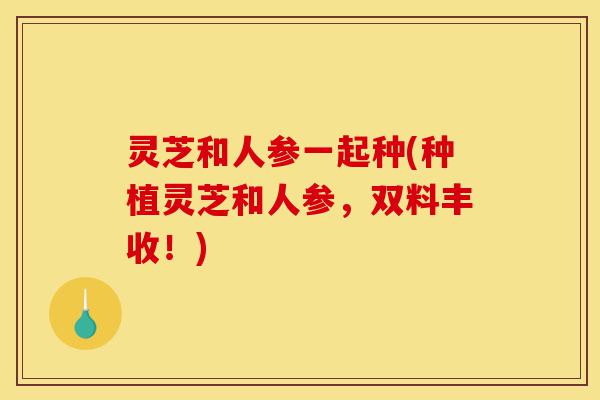 灵芝和人参一起种(种植灵芝和人参,双料丰收!)-第1张图片-灵芝之家 灵芝和人参一起种(种植灵芝和人参,双料丰收!)-第1张图片-灵芝之家