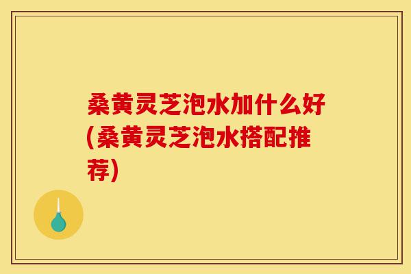 桑黄灵芝泡水加什么好(桑黄灵芝泡水搭配推荐)-第1张图片-灵芝之家 桑黄灵芝泡水加什么好(桑黄灵芝泡水搭配推荐)-第1张图片-灵芝之家