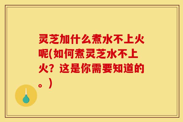 灵芝加什么煮水不上火呢(如何煮灵芝水不上火？这是你需要知道的。)-第1张图片-灵芝之家