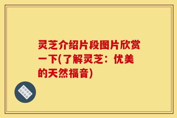 灵芝介绍片段图片欣赏一下(了解灵芝:优美的天然福音)-第1张图片-灵芝之家 灵芝介绍片段图片欣赏一下(了解灵芝:优美的天然福音)-第1张图片-灵芝之家