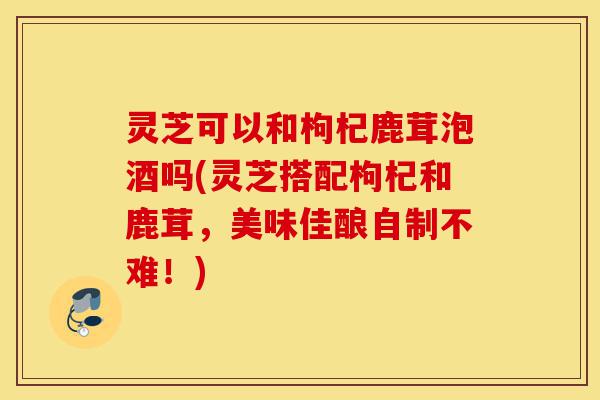 灵芝可以和枸杞鹿茸泡酒吗(灵芝搭配枸杞和鹿茸,美味佳酿自制不难!)-第1张图片-灵芝之家 灵芝可以和枸杞鹿茸泡酒吗(灵芝搭配枸杞和鹿茸,美味佳酿自制不难!)-第1张图片-灵芝之家