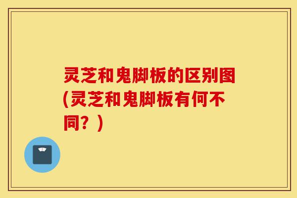 灵芝和鬼脚板的区别图(灵芝和鬼脚板有何不同?)-第1张图片-灵芝之家 灵芝和鬼脚板的区别图(灵芝和鬼脚板有何不同?)-第1张图片-灵芝之家