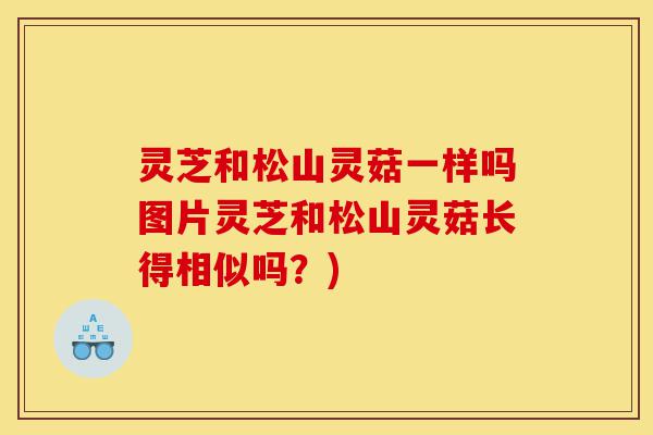 灵芝和松山灵菇一样吗图片灵芝和松山灵菇长得相似吗？)-第1张图片-灵芝之家
