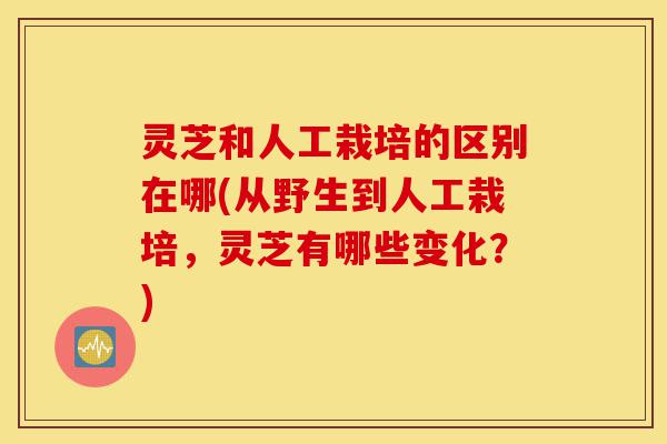 灵芝和人工栽培的区别在哪(从野生到人工栽培,灵芝有哪些变化?)-第1张图片-灵芝之家 灵芝和人工栽培的区别在哪(从野生到人工栽培,灵芝有哪些变化?)-第1张图片-灵芝之家