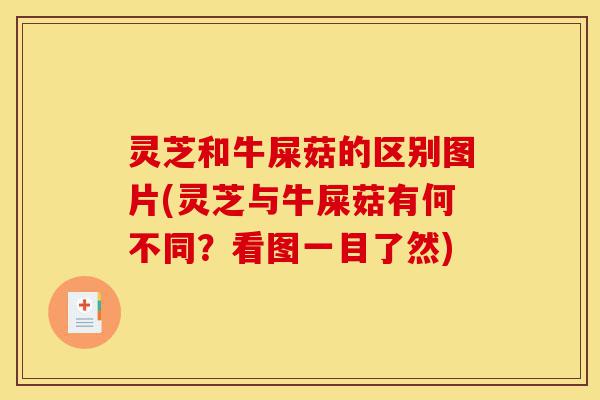 灵芝和牛屎菇的区别图片(灵芝与牛屎菇有何不同？看图一目了然)-第1张图片-灵芝之家