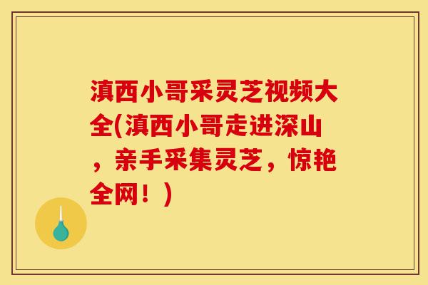 滇西小哥采灵芝视频大全(滇西小哥走进深山,亲手采集灵芝,惊艳全网!)-第1张图片-灵芝之家 滇西小哥采灵芝视频大全(滇西小哥走进深山,亲手采集灵芝,惊艳全网!)-第1张图片-灵芝之家