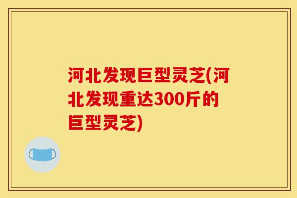 河北发现巨型灵芝(河北发现重达300斤的巨型灵芝)-第1张图片-灵芝之家 河北发现巨型灵芝(河北发现重达300斤的巨型灵芝)-第1张图片-灵芝之家