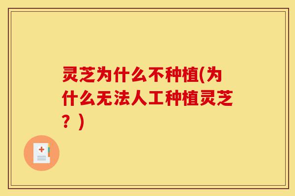 灵芝为什么不种植(为什么无法人工种植灵芝?)-第1张图片-灵芝之家 灵芝为什么不种植(为什么无法人工种植灵芝?)-第1张图片-灵芝之家