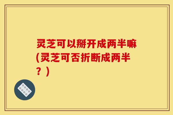 灵芝可以掰开成两半嘛(灵芝可否折断成两半?)-第1张图片-灵芝之家 灵芝可以掰开成两半嘛(灵芝可否折断成两半?)-第1张图片-灵芝之家